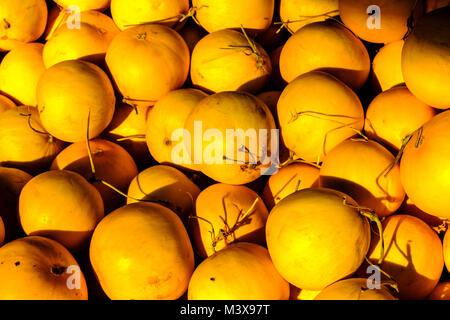 Gelbe Melonen sind für Verkauf am Gemüsemarkt in den Straßen der Stadt Stockfoto