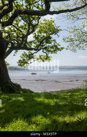 Picton Punkt Fluss Cleddau Ddu nr Haverfordwest Pembrokeshire Wales Stockfoto