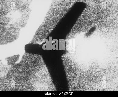 5. Air Force, Südkorea - Rauch gießt aus einem Extrudierten-wing russischen MiG-15 gebaut als Kugeln aus der brennenden Maschine Gewehren der US Air Force F-86 Sabre" Jet Pilot spritzt. Fotos, wie dieser, von der tatsächlichen Waffe Kamera Film gedruckt werden, sowie schriftliche Äußerungen von Jet Piloten, die Zeugnis der 'Töten' ausgewertet werden muss, bevor eine offizielle Bestätigung oder eine Gutschrift gewährt werden kann. Die aber abgesehen davon Band auf dem Foto ist ein Fluss irgendwo unter MiG Alley. AIR UND SPACE MUSEUM Nr.: 86338 AC-HF-SN -98-07425 durch AirmanMagazine Stockfoto