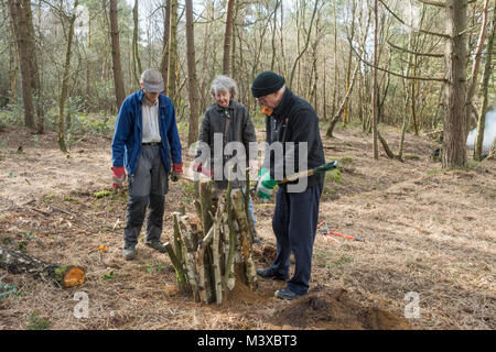 Wildlife Conservation Volunteers arbeiten - Aufbau einer stumpery (loggery) einen Lebensraum für den Hirschkäfer und anderes Holz - langweilige Wirbellose zur Verfügung zu stellen Stockfoto