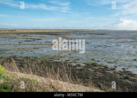 Winter Landschaft über das Wattenmeer auf farlington Sümpfe Nature Reserve in der Nähe von Portsmouth in Hampshire, Großbritannien Stockfoto