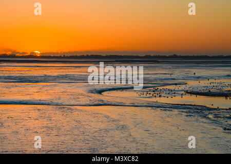 Winter Sonnenaufgang über dem Wattenmeer an farlington Sümpfe Nature Reserve in der Nähe von Portsmouth, Hampshire, UK, mit zahlreichen Wasservögel Stockfoto