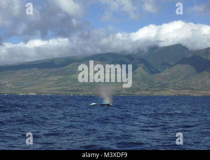 Besatzungsmitglieder an Bord der Coast Guard Cutter Oliver Berry (WPC 1124) beobachtet, wie ein Buckelwal auftauchen in der hawaiischen Inseln Buckelwal National Marine Sanctuary, Jan. 19, 2018. Die Mannschaft von Oliver Berry vor kurzem eine Woche-lange Patrol zur Unterstützung der Operation Kohola Guardian, eine gemeinsame behördenübergreifende Betrieb mariner Bewusstsein der hawaiischen Inseln Buckelwal National Marine Sanctuary und die Aktionen erforderlich, wenn die Begegnung mit Buckelwale auf See zu erhöhen. (U.S. Coast Guard Foto von Petty Officer 2. Klasse Taylor Geuting/Freigegeben) Stockfoto