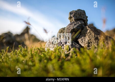 Laufscalavarda, eine Lava ridge, von Stein Cairns - South Island umgeben Stockfoto