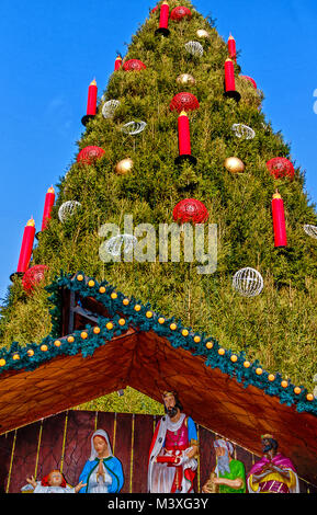 Riesige Weihnachtsbaum (aus Hunderten von Roten Fichten) auf dem Alten Markt in Dortmund, Deutschland Stockfoto