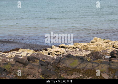 Peel Bay, Schälen, Insel Man. Sauberes Wasser. Auf den Felsen und im Meer am Ende der Promenade Algen Stockfoto