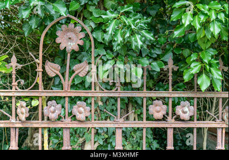 Dekorative, rostigem Eisen Zaun mit Blossom Muster und Efeu im Hintergrund Stockfoto