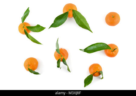 Blick von oben auf die Mandarinen oder Orangen mit Blättern für Layout auf weißem Hintergrund. Stockfoto