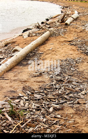 Driftwood Abwasch an der sandigen Küste. Stockfoto