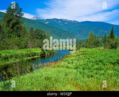 Bull-Fluss unterhalb der Schrank Berge in der Nähe von Noxon, montana Stockfoto