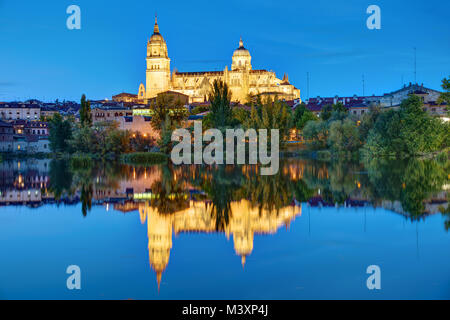 Der Kathedrale von Salamanca und den Fluss Tormes bei Nacht Stockfoto