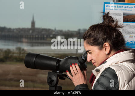 Eine Frau Vogelbeobachtung vom Montrose Becken Scottish Wildlife Trust Visitor Centre, Angus, Schottland. Stockfoto