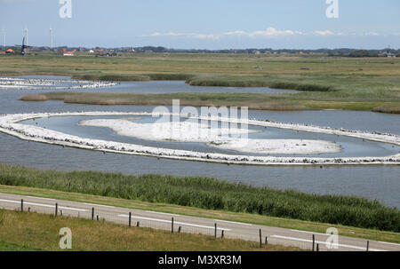 Naturschutzgebiet für Vögel in den Niederlanden Stockfoto