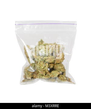 Große Plastiktüte von medizinischem Cannabis marihuana. Stockfoto