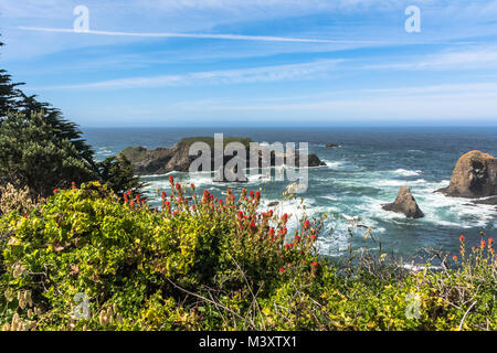 Fort Brag Küste, California Stockfoto