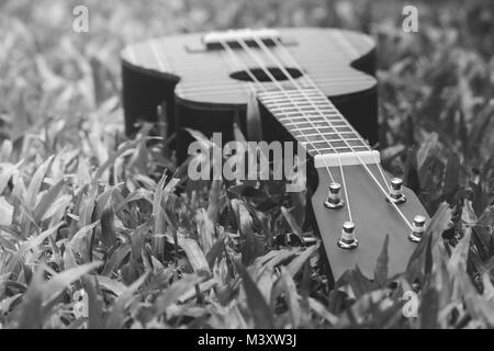 Abstrakte schwarz-weiß-Bild in der Nähe von Musical Instrument ukulele Gitarre auf grünem Gras. Stockfoto