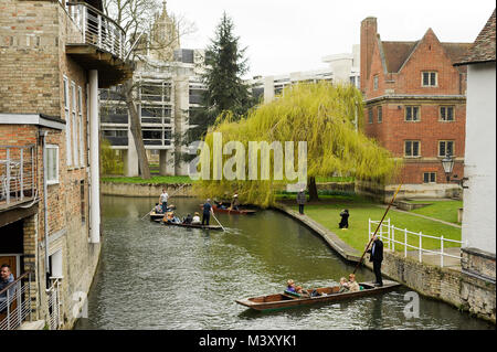 Stocherkähne auf dem Fluss Cam, Cripps und Fisher Gebäude der St John's College, Magdalene College der Universität Cambridge eine der ältesten Universitäten der Stockfoto