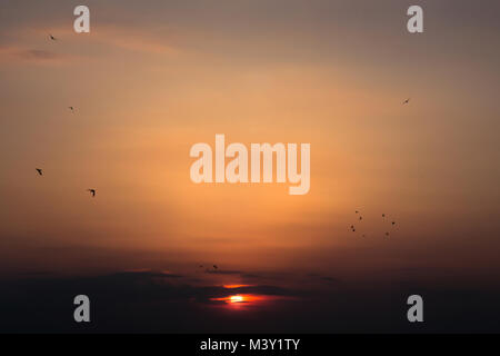 Schönen Sonnenuntergang, Vögel, Himmel klarer Himmel Abend Stockfoto