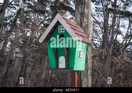 Vogelhaus auf dem Baum Stockfoto