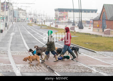 Blackpool, Lancashire. 13 Feb, 2018. UK Wetter: Kalt, nass und windig Start in den Tag auf der Strandpromenade. Sintflutartige Regengüsse machen es schwierig für Besucher und Touristen, die Kampf mit den starken Windböen, blustery und windigen Bedingungen. Die Prognose ist für die Fortsetzung der persistente und oft schwere Regen langsam nach Osten verschieben mit starken Winden. Credit: MediaWorldImages/AlamyLiveNews. Stockfoto