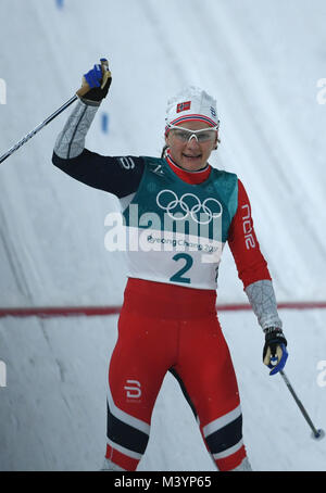 Pyeongchang, Südkorea. 13 Feb, 2018. Maaiken Caspersen Falla aus Norwegen Jubel an der Ziellinie in Pyeongchang, Südkorea, 13. Februar 2018. Quelle: Angelika Warmuth/dpa/Alamy leben Nachrichten Stockfoto