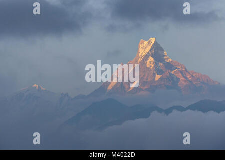 Mount Machhapuchchhre in Abend weichen Sonnenlicht, Fish Tail Berg aus Ghandruk - Nepal Himalaya Stockfoto