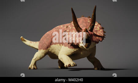 Dinosaurier TRICERATOPS horridus Stockfoto