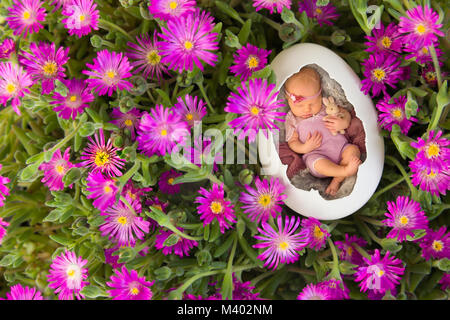 Neugeborene schlafen in einem Ei in Rosa iceplant Stockfoto