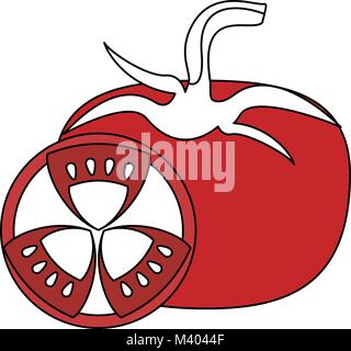 Tomaten Gemüse isoliert Stock Vektor