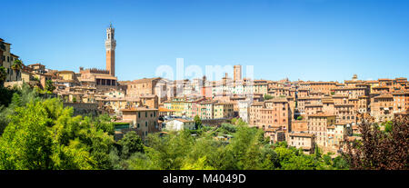 Panorama von Siena, Luftaufnahme mit dem Torre del Mangia, Toskana, Italien Stockfoto