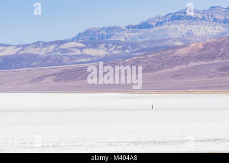 Schlechtes Wasser Becken Landschaft auf sonnigen Tag, Death Valley National Park, Kalifornien, USA. Stockfoto