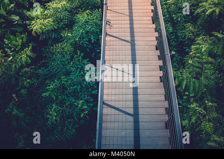 Ansicht von oben Holz- Sky Walk oder Gehweg überqueren Baumkrone mit grün Natur und Sonnenlicht im Vintage Stil umgeben. Stockfoto