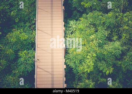 Ansicht von oben Holz- Sky Walk oder Gehweg überqueren Baumkrone mit grün Natur und Sonnenlicht im Vintage Stil umgeben. Stockfoto