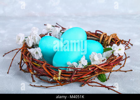 Blaue Ostereier im Nest mit weißen Blumen auf einem grauen konkreten Hintergrund Stockfoto