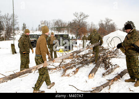 Marines mit Firma F, 4 Tank Battalion, 4th Marine Division, sammeln Holz für Feuer in den ersten Tag der Übung Winterpause 2018 auf Lager Äsche, Michigan, Feb 7, 2018 zu hacken. Winter Break 18 ermöglicht die Marines von Fox Co. Wesentliche mechanisierte Infanterie Taktik und offensive und defensive Fähigkeiten in eine strenge Kälte Umwelt zu entwickeln. Diese Übung erhöht die Interoperabilität der Reserve Komponente mit der Aktiven Komponente. Stockfoto