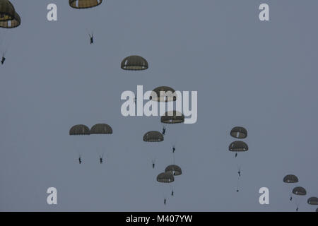 Fallschirmjäger von der Amerikanischen 173rd Airborne Brigade und der Französischen 11 Airborne Brigade durchgeführt eine zerstreute Einfügen letzte Nacht und weiterhin Fallschirmjäger heute in Deutschland, Frankreich bereitstellen, wie die Amerikanische 54th Brigade Ingenieur Bataillon ist die Bereitstellung technischer Unterstützung für die Französischen betrieb Acinonyx La Marne. Amerikanische und französische Fallschirmjäger führte eine Flügel Austausch letzte Woche in der Vorbereitung für diese Übung. Stockfoto