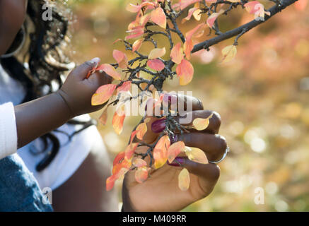 Mutter und Baby lifestyle Schießen, verbringt die letzten warmen Tage fallen unter den bunten Bäume und Laub. Die Erkundung der Oktober Landschaft. Stockfoto