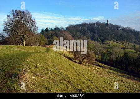 Collard Hill & Admiral Hood Denkmal, Polden Hills, Somerset Stockfoto