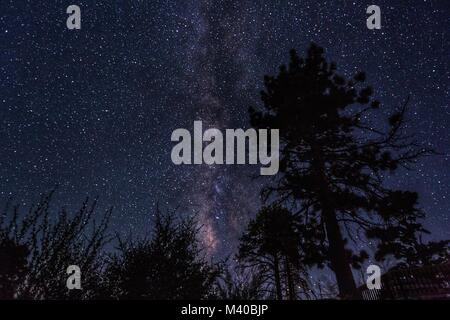 Milchstraße über Mt. Laguna Stockfoto