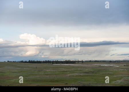 Ein offenes Feld in der Nähe von Spokane, Washington Stockfoto