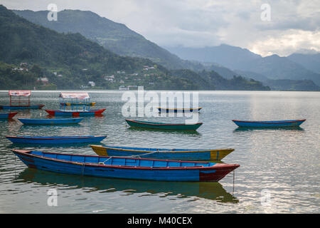 Bunte Boote am Phewa See, Pokhara, Nepal Stockfoto