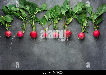 Reihe von frischen, rohen organischen Rote Radieschen mit Greenn Blätter angeordnet in der oberen Zeile Grenze auf dunklem Beton Stein Hintergrund. Kopieren Sie Platz für Text. Website Stockfoto