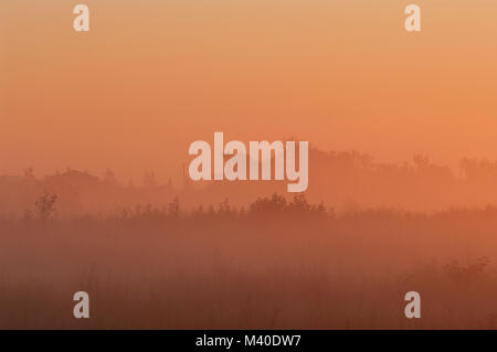 Alberta, Kanada. Orange Haze bei Sonnenaufgang im Sommer auf den Wiesen. Stockfoto