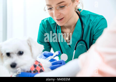 Weibliche Tierarzt macht eine Injektion zu einem Hund Stockfoto