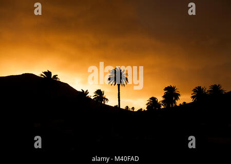 Haria, Lanzarote/Spanien: Blick auf den Sonnenuntergang, Skyline mit Silhouetten der Palmen Stockfoto