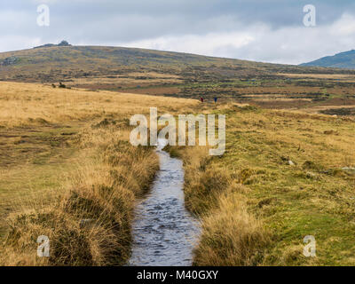 Anzeigen Suche NE die Grimstone und Sortridge Gewaehrleistung auf mittleren und großen Heften, Nationalpark Dartmoor, Devon, Großbritannien. Stockfoto