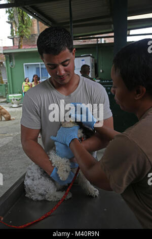 150712-A-BK746-111 BUENAVENTURA, Kolumbien (12. Juli 2015) Pfc. Ramon Reyes, gebürtig aus Orlando Florida, der Armee 10th Mountain Division, Fort Polk, Louisiana, hilft Hospitalman 2. Klasse Lazara Medina, gebürtig aus Yonkers N.Y., Marine Environmental präventive Medizin Unit-2 Norfolk Virginia, zugewiesen zugewiesen verabreichen Vitamine zu einem Hund an einem Tierarzt-Standort auf Eufermeria Canina Del Grupo Antiexplosnos Urbano während der anhaltenden Versprechen 2015 festgelegt. Weiterhin verspricht ein US Southern Command gesponsert und US Marine Kräfte südlichen Spezialoperationen. 4. Flotte durchgeführt Bereitstellung, zivil-militärische durchzuführen Stockfoto