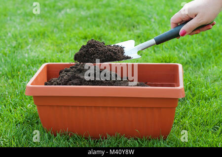 Weibliche hand hängenden Garten Schaufel wit Boden Stockfoto