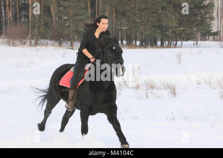 Junge Frau reitet auf einem Pferd im Winter Landschaft Stockfoto