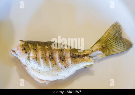 Black Bass Fisch gebraten auf der Platte, das gesunde Essen. Stockfoto